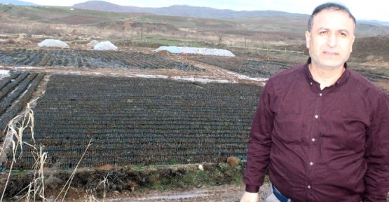 Dünyanın En Modern Fıstık Tesisi 30 Milyon TL'ye Siirt'e Kuruluyor
