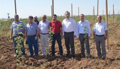 Elma ve Böğürtlen Bahçeleri Yerinde İncelendi