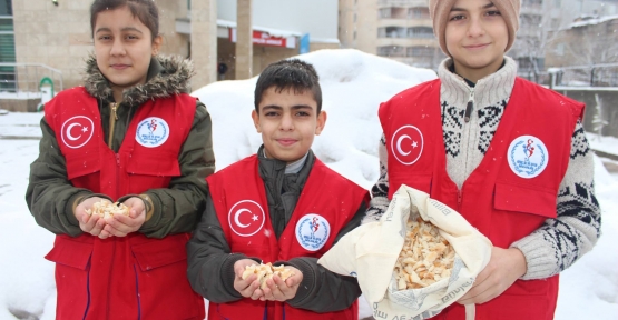 GÖNÜLLÜ GENÇLER HAYVANLAR İÇİN PARKLARA YEM BIRAKTI