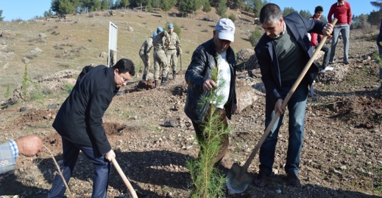 Kaymakam Mehmet Kocabey, Fidan Dikimi Etkinliğine Katıldı