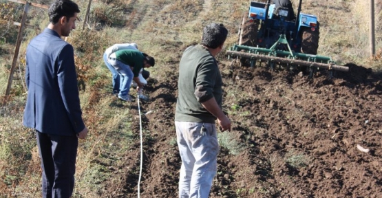 Kurtalan İlçemizde Alternatif Tarım Ürünleri Ekimi Gerçekleştirildi