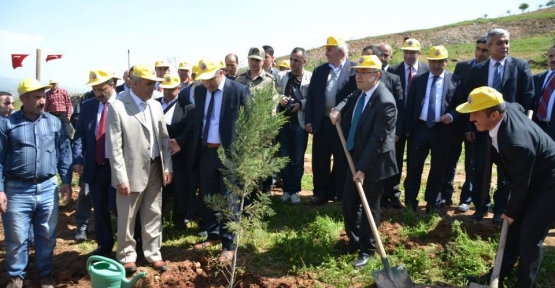 Şehit Savcı Mehmet Selim Kiraz Adına  Kayaboğaz Köyünde Hatıra Ormanı Oluşturuldu