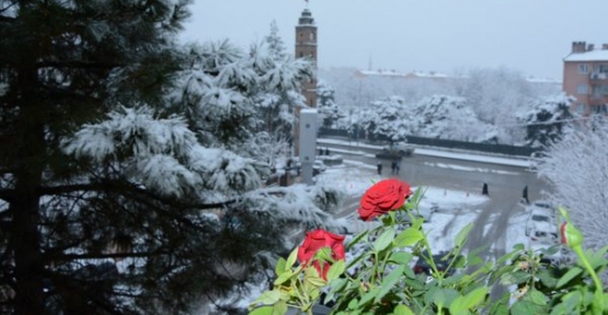 Siirt Beyaza Büründü