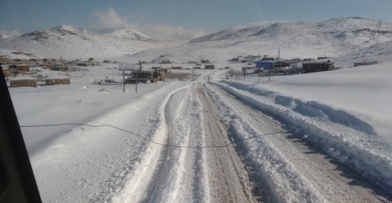 Siirt'teki Kar Yağışı, Pervari Yolu Kapandı