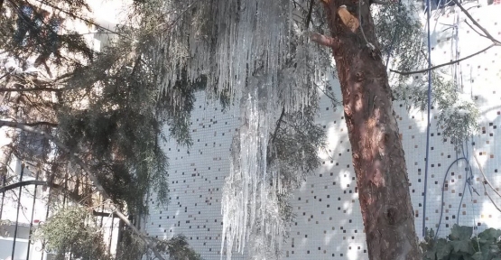 Soğuk Hava Buz Sarkıtları Oluşturdu