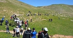 Tarihi Akabe Yolunda Doğa Yürüyüşü Düzenleniyor