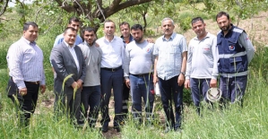 Dicle Elektrik İSG Uzmanları ve Yetkilileri Sahada…