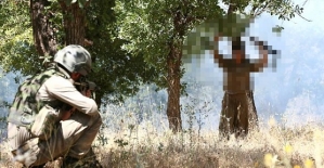 PKK'nın Sözde Herekol Dağı Alan Sorumlusu Teslim Oldu