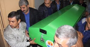 Eruhlu Emekli Köy Korucusu Adana'da Evinde İnfaz Edildi