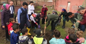 Barış Aile Destek Merkezinde Fidan Dikme Etkinliği Düzenlendi