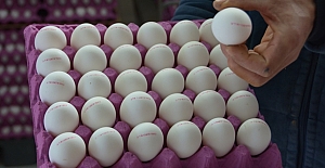 İlimizde Bir Ayda 1 Milyon Adet Yumurta Tüketiliyor