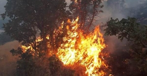 Baykan'da 3 Gündür Süren Orman Yangını, Güçlükle Söndürüldü