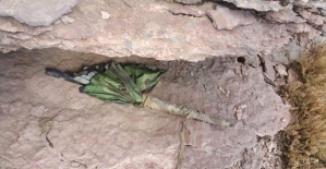 Herekol Dağında PKK'lı Teröristlere Ait Çok Sayıda Mühimmat Ele Geçirildi
