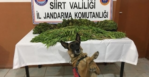 Jandarma’dan Zehir Tacirlerine Darbe