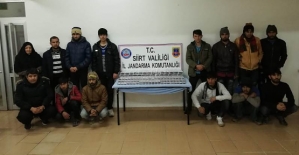 Siirt'in Baykan İlçesinde 14 Yasa Dışı Göçmen Yakalandı