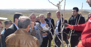 "Budama Ustası Yetiştirme Eğitimi” Projesi Devam Ediyor