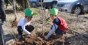 Anaokulu Öğrencileri Dicle Elektrik Bahçesinde Ağaç Dikti