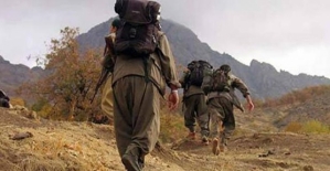 Siirt'te 'Gri' Listede Aranan PKK'lı Terörist Teslim Oldu