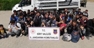 Siirt'te 40 Düzensiz Göçmen Yakalandı