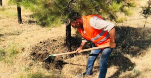 Atabağı'nda Mezarlıklar Temizleniyor