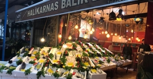 Halikarnas Balık Evine Yoğun İlgi