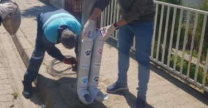 Şirvan Belediyesi Sokak Hayvanlarını  Unutmadı