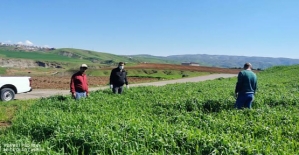 Tarım ve Orman İl Müdürlüğü Tarafından Fenolojik Gözlemler ve Saha Çalışmaları Yapıldı