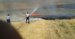 Siirt İl Mahalli Çevre Kurulu Kararları