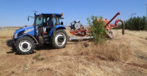 Siirt Üniversitesinde Hasat Zamanı