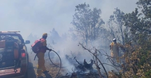 Baykan’da Orman Yangını Kontrol Altına Alındı