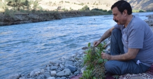 Botan Günü (Roja Ro) Etkinlikleri Covid-19 Salgın Tehlikesi Nedeniyle Ertelendi