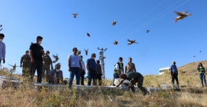 Siirt/Şirvan İlçe Kırsalında 750 Adet Kınalı Keklik Doğaya Salındı