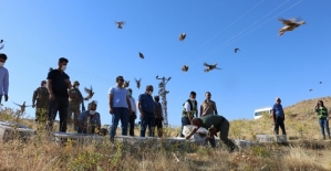 Siirt/Şirvan İlçe Kırsalında 750 Adet Kınalı Keklik Doğaya Salındı