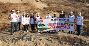 Siirt Belediyesi Ekipleri Hatay’da PKK’nın Yaktığı Ormanın Yaralarını Sardı