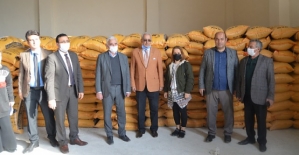 Siirt'te Çiftçilere 45 Ton Mercimek Tohumu Dağıtıldı