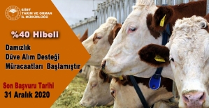 Düve Alımına %40 Hibe Desteği Başvuruları Başladı
