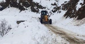 ŞİRVAN’DA KARDAN KAPANAN KÖY YOLLARI AÇILDI