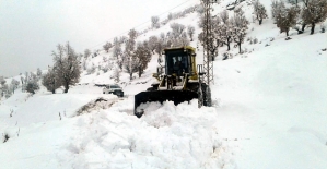 Siirt'te Kar Yağışı Nedeniyle 64 Köy Yolu Kapandı