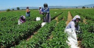 Çiftçilerimizin ve Üreticilerimizin Dikkatine  “Sokağa Çıkma Yasağı’’ Döneminde Tarımsal Faaliyetler