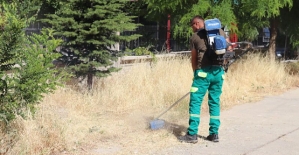 Siirt’te Park ve Bahçelerde Temizlik ve Bakım Çalışmaları Devam Ediyor