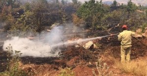 Siirt'te Çıkan Orman Yangınında 10 Hektarlık Alan Zarar Gördü