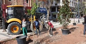 GÜRES CADDESİ’NDE AĞAÇLANDIRMA ÇALIŞMALARI BAŞLADI