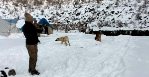 Karda Mahsur Kalan Çoban ve Sürüsü Kurtarıldı