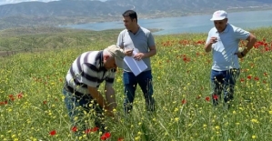 Yem Bitkileri Desteklemesi Arazi Kontrolleri Yapıldı