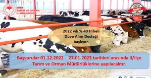 2022 Yılı % 40 Hibeli Düve Alım Desteği Başvuruları Başlıyor