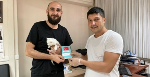 Kedi, Köpek ve Gelinciklerin Kimliklendirilmesi ve Kayıt Altına Alınması Devam Ediyor