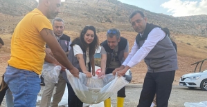 Siirt'te 2 Milyon 100 Bin Balık, Baraj Gölü ve Göletlere Bırakıldı