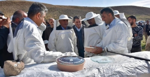 Siirt’te Terörden Temizlenen Çemikari Yaylası'nda Bal Hasadı Yapıldı