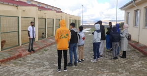 Siirt Sevgi Evleri’nde Kalan Öğrenciler Hayvan Barınağını Gezdi