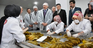 Vali Kızılkaya; ''Üreten Eller Kadın Kooperatifi Tayfi Üzüm Yaprağı Salamura Tesisi''ni Ziyaret Etti